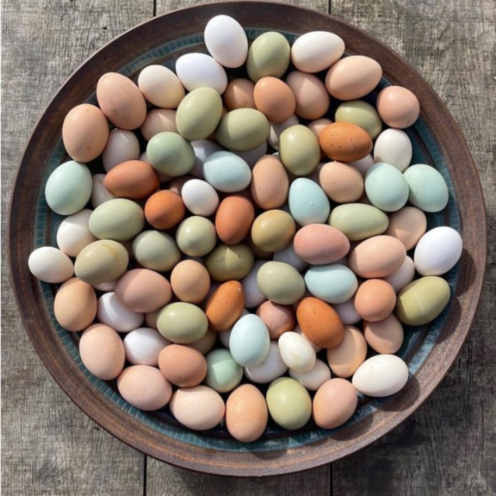 Happy Spring 💐 - Picture 13 of 16